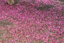 2025年12月31日 一年の終わりに