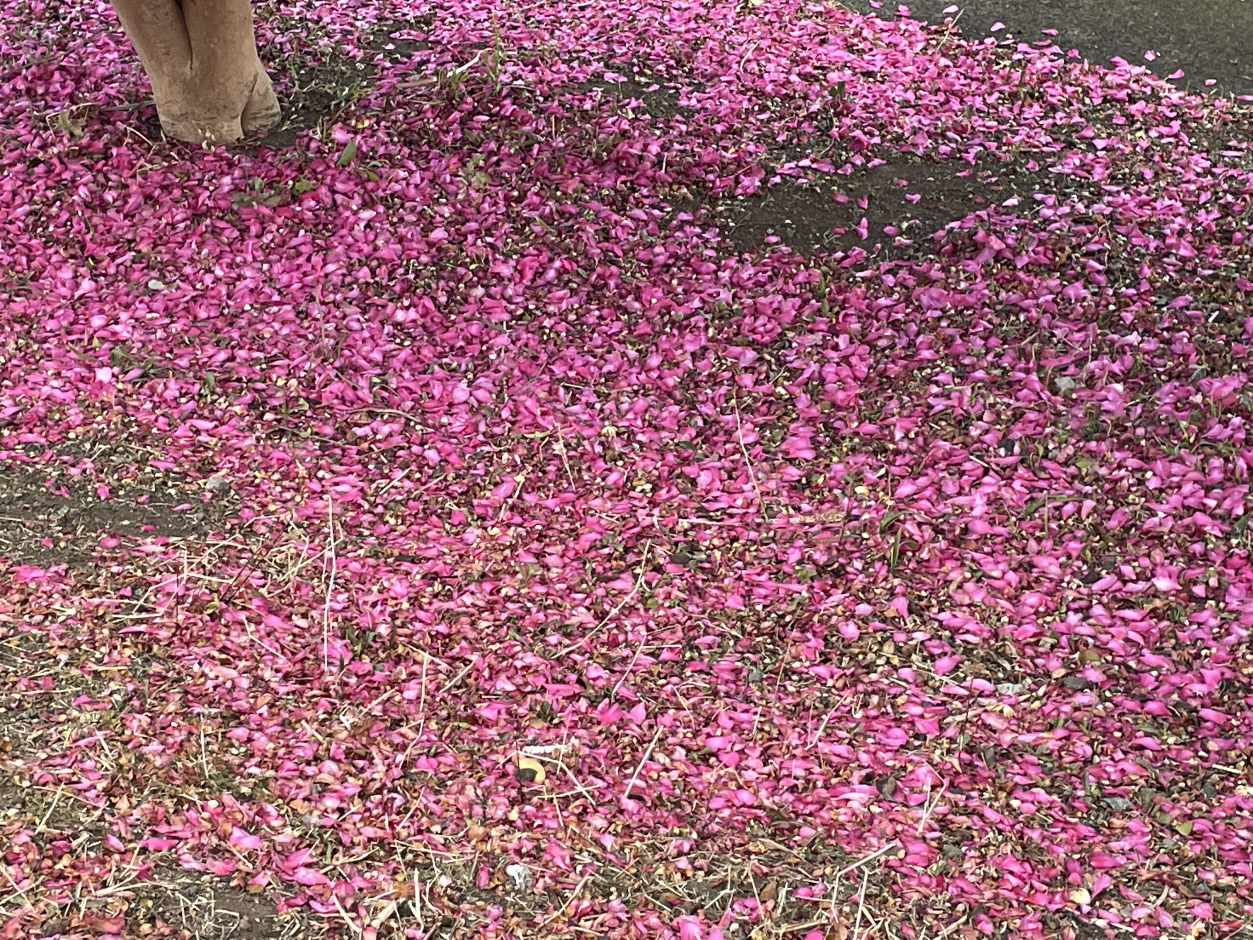 2025年12月31日　一年の終わりに