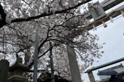 20260403-05 大阪へ