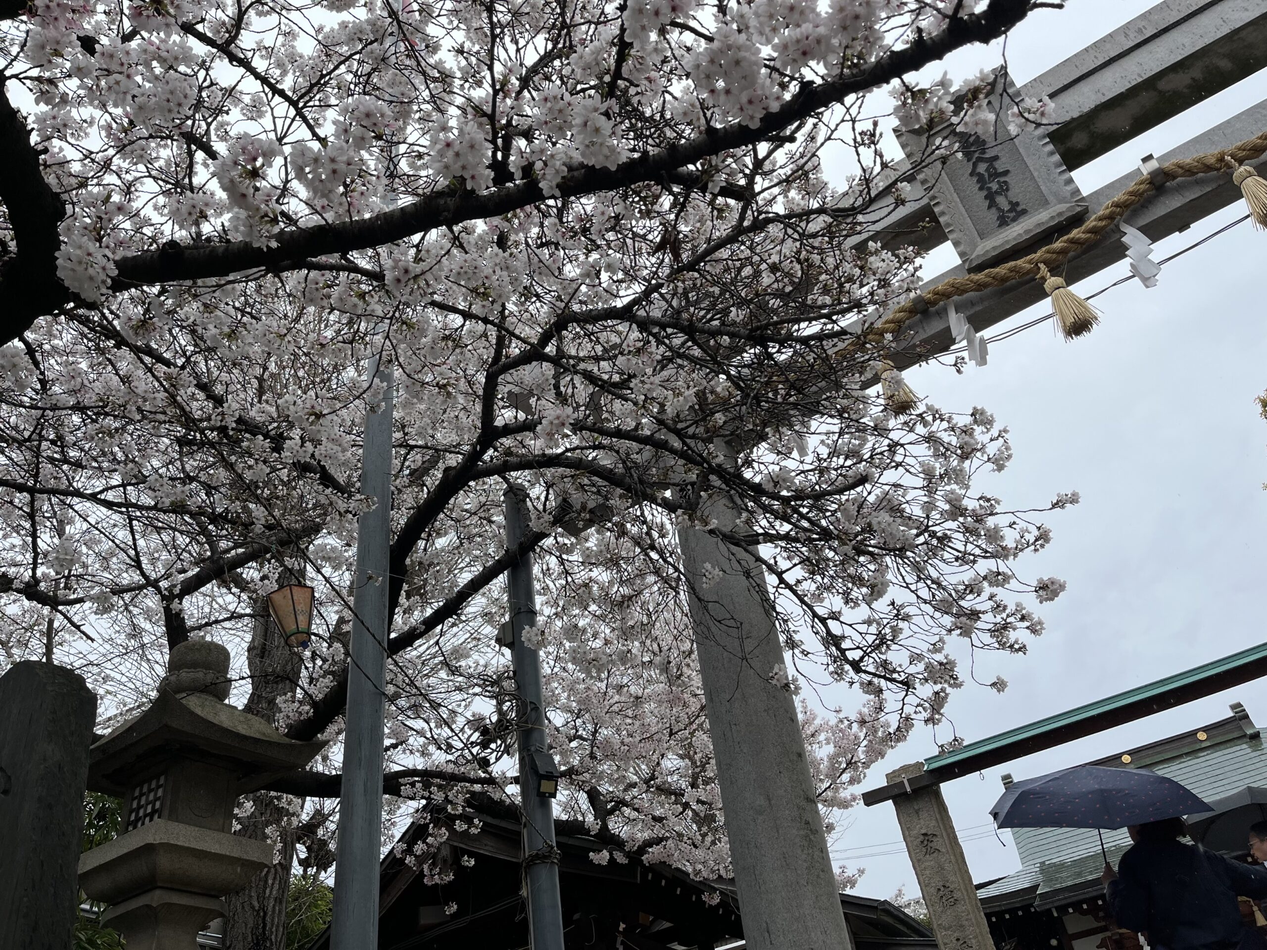 20260403-05  大阪へ